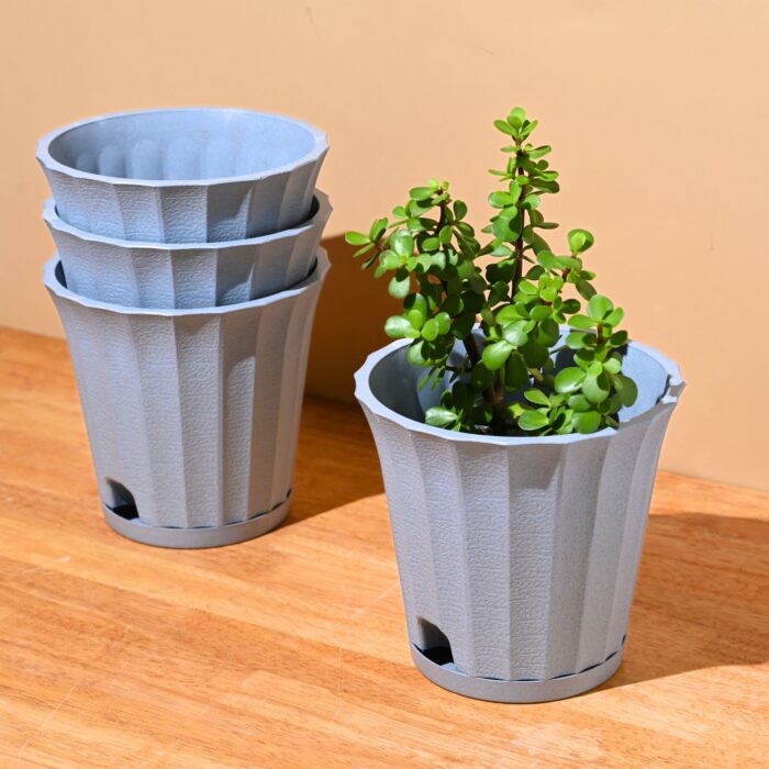 Ace planter