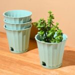 Ace planter