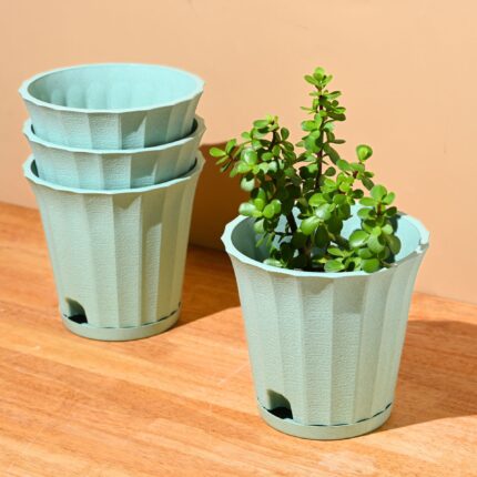 Ace planter