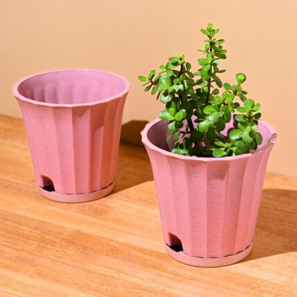 Ace planter 7"