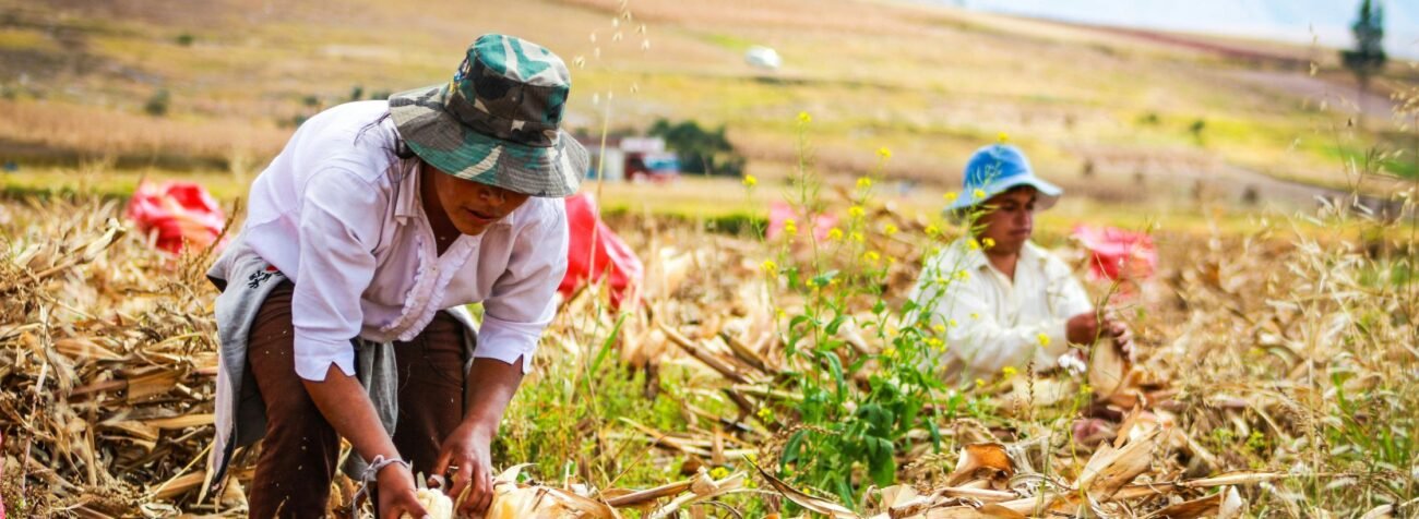 small farmers, climate change impact, seed treatment