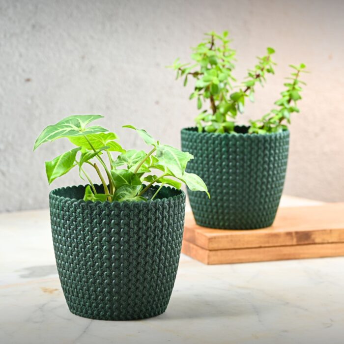 Link planter