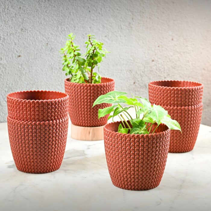 Link planter