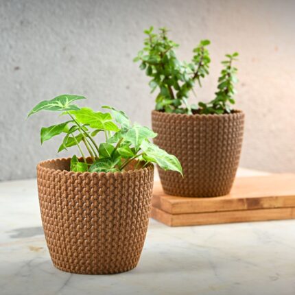 Earth Friendly Link 5.5 inch | Set of 2 | Small pots for Indoor Plants | Plant Pot Made with Bamboo Fibers | Table Top Planters for Home Decor and Office, Flower Pot for Living Room