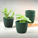 Link planter