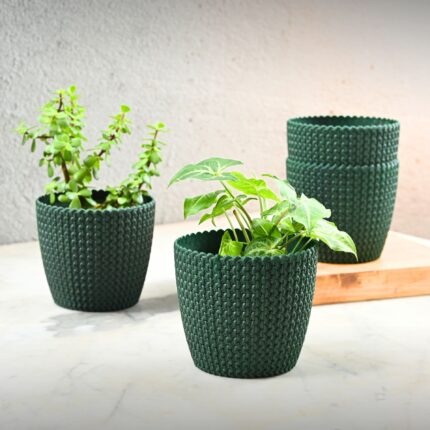 Link planter