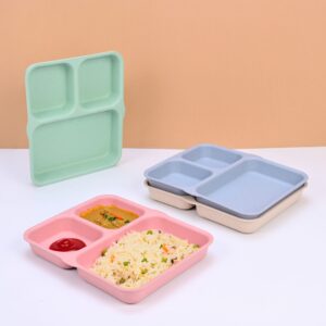 3 Partition Plate