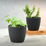 Link planter