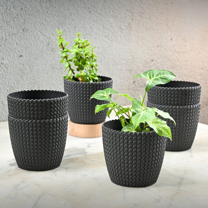 Link planter