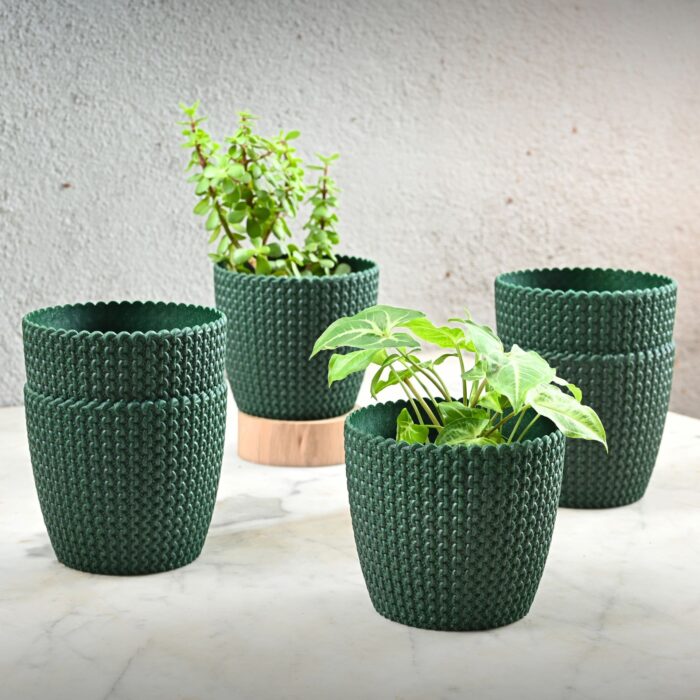 Link planter