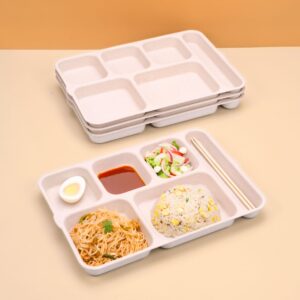 6 Partition Plate