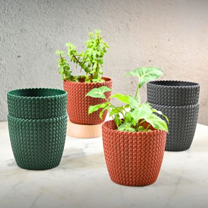 Earth Friendly Link 5.5 inch | Set of 6 | Small pots for Indoor Plants | Plant Pot Made with Bamboo Fibers | Table Top Planters for Home Decor and Office, Flower Pot for Living Room