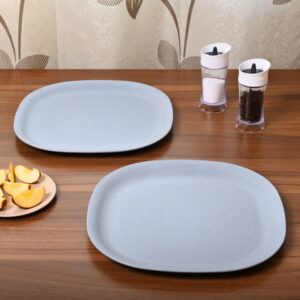 Dinner 11 Plate 2