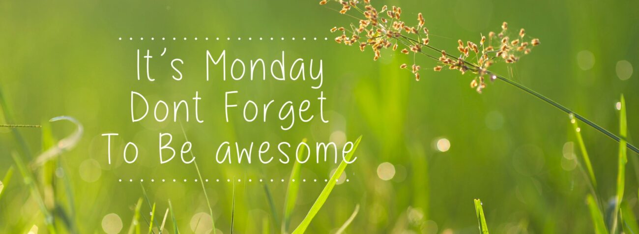 planting seeds, monday motivations, productive week