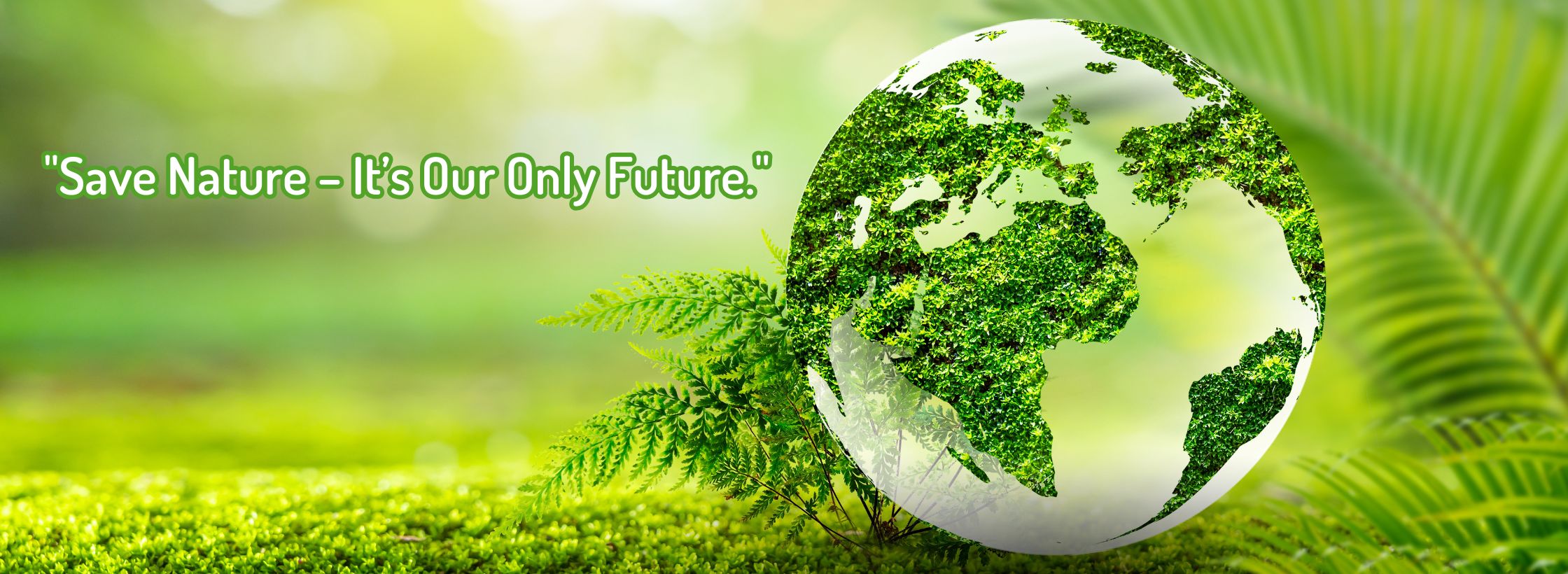 environment day , world environment day slogan, speech environment day