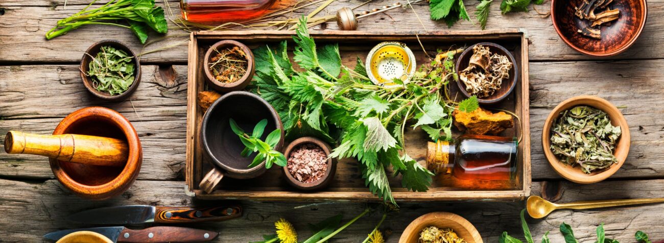 medicinal plants, medicinal herbs, natural remedies, herbs garden at home