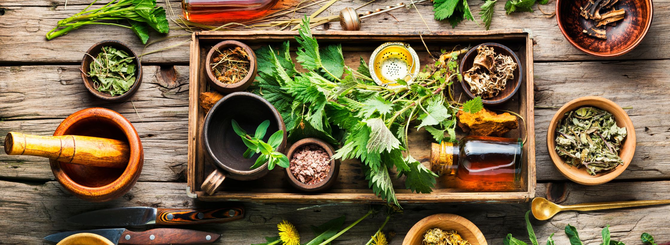 medicinal plants, medicinal herbs, natural remedies, herbs garden at home