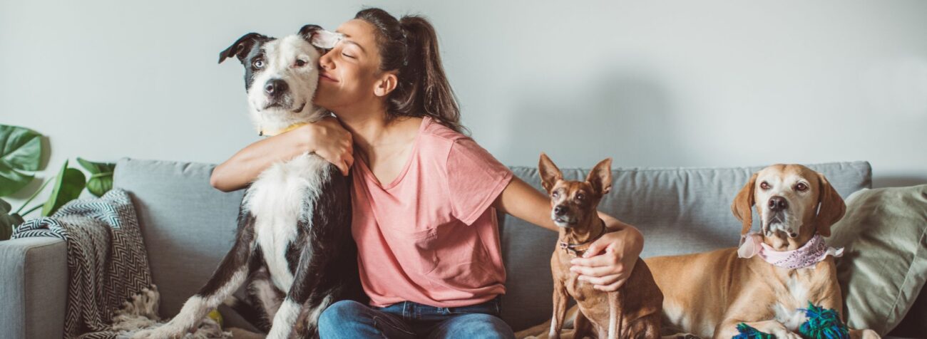 pet day, sustainable petcare, care pet, national love your pet day