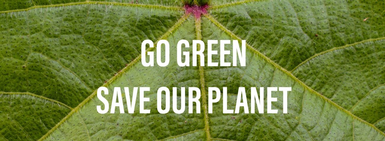 global conservation, celebrating biodiversity