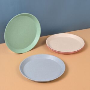 Kid's Plate Kids Plate
