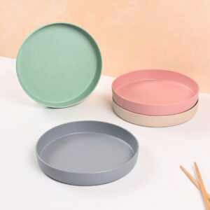 Verde Plate Verde Plate