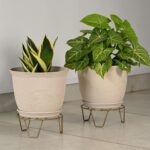 LEAFY 10" with STAND