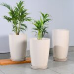 Sleek planter