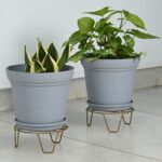 AURA10 " with STAND