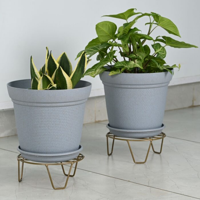 AURA10 " with STAND