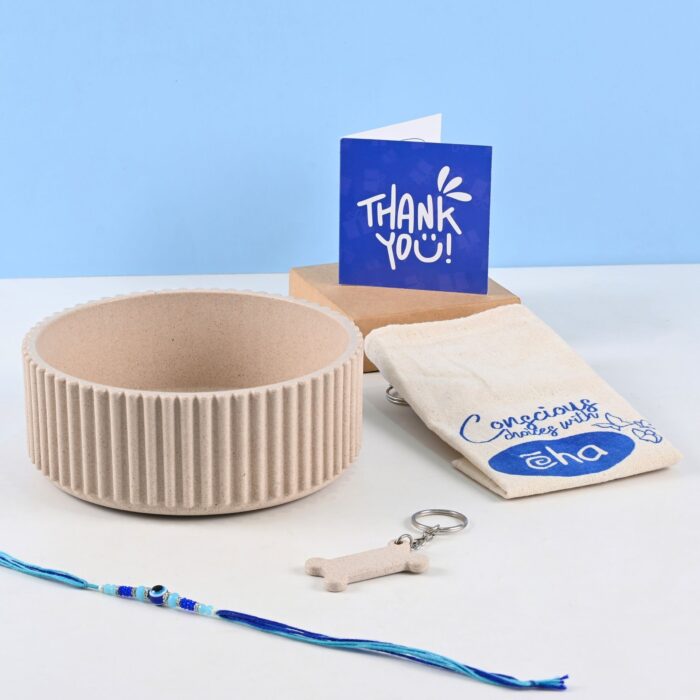 Eco cog rakhi gift