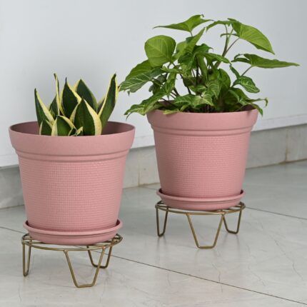 AURA10 " with STAND