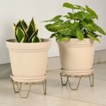 AURA10 " with STAND