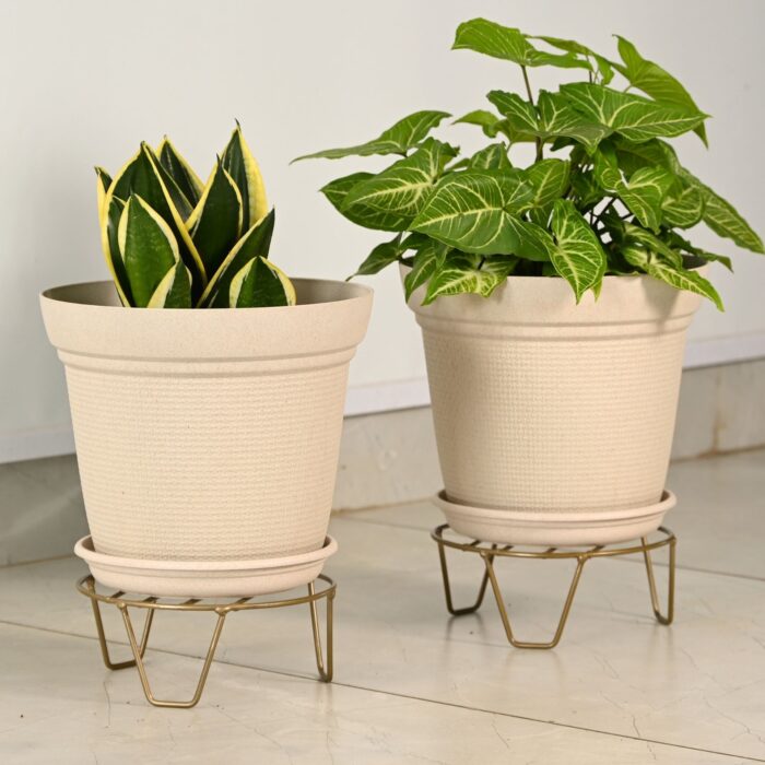AURA10 " with STAND