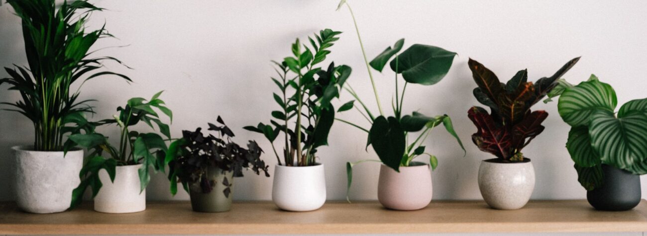 stylish gardenware, functionality, aesthetics