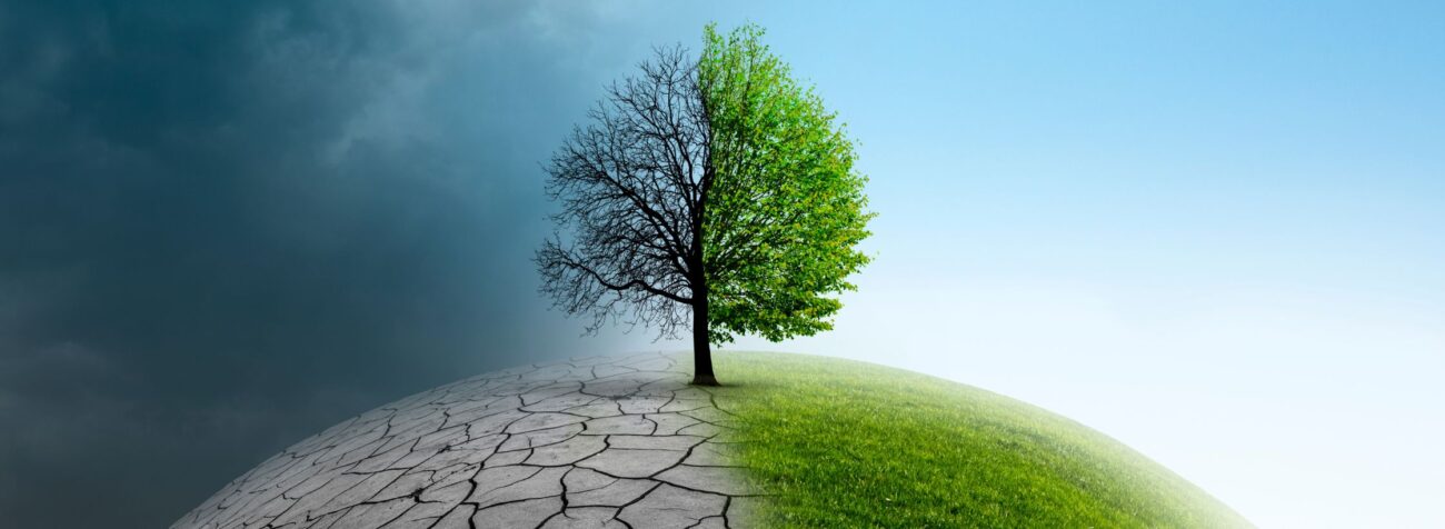 climate change, innovations, climate change reasons
