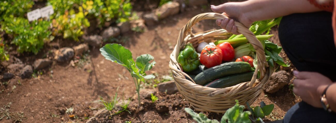 gardening, growing your own food, carbon footprint