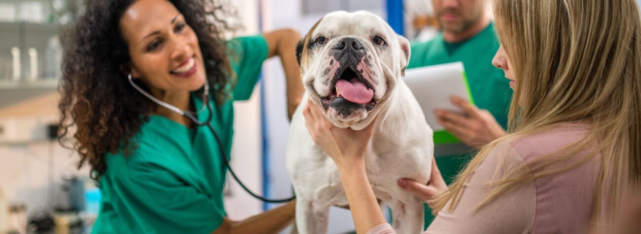 allergies, pet allergies, allergies on skin