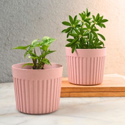 Earth Friendly Romano 6 inch | Set of 2 | Planters for Home Decor | Plant Pot Made with Bamboo Fibers | UV Protected Pots & Planters | Flower Pot for Living Room