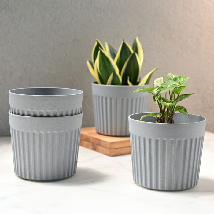 Romano planter 6"