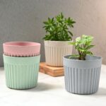Romano planter 6"