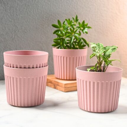 Romano planter 6"