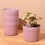 Romano planter 5"