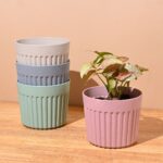 Romano planter 5"