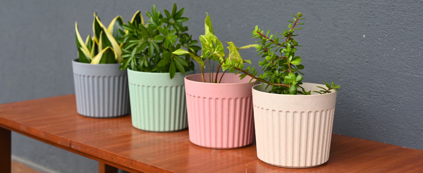Romano Pot 5 inch