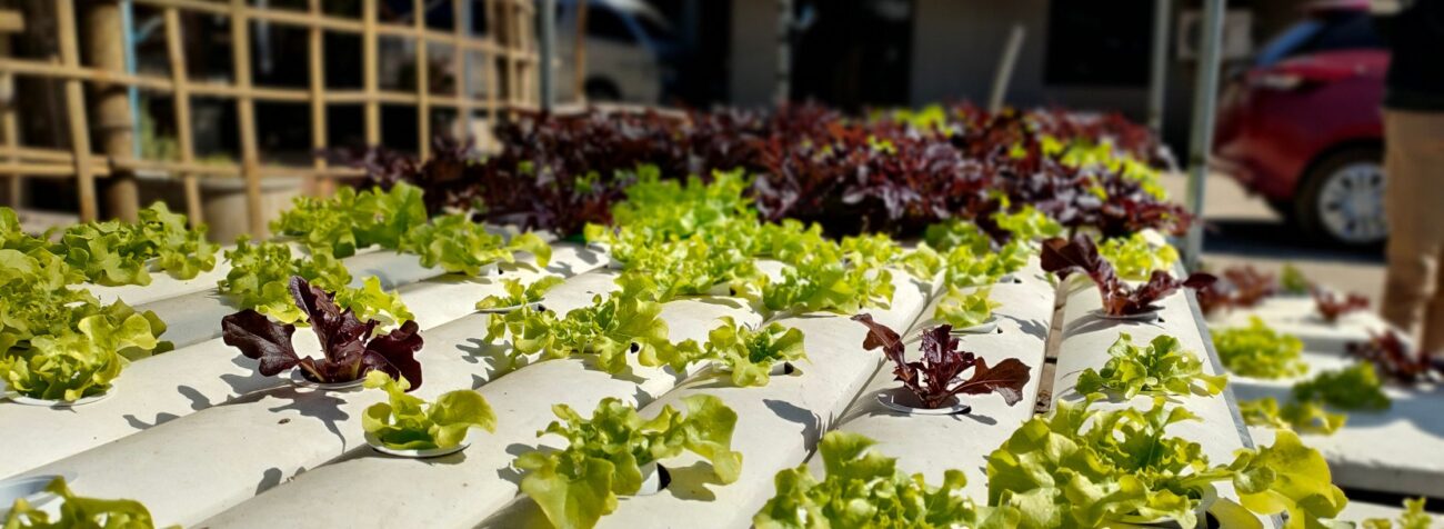 carbon farming, climate change, climate change reasons