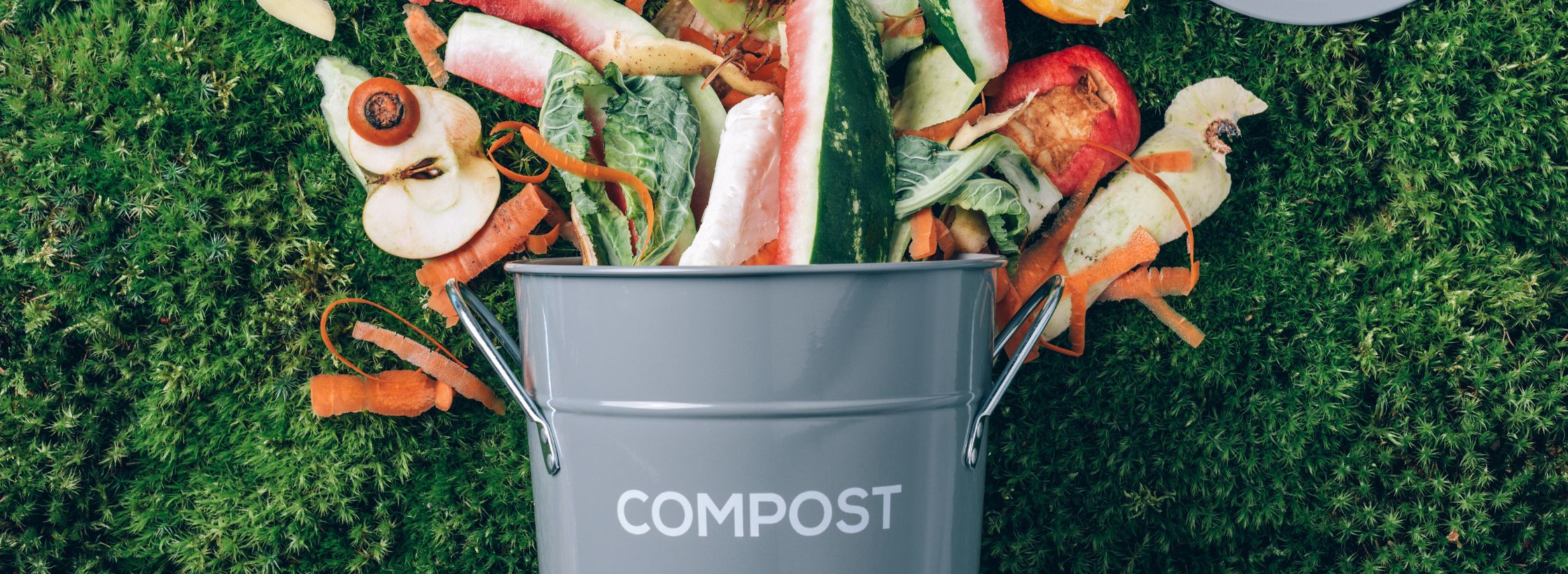biodegradable, compostable, recycled materials