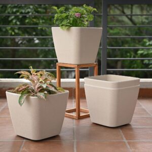 Planters Main Img 1