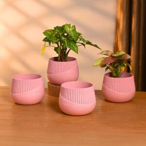 Planters Main Img 3