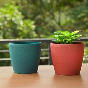 Planters Main Img