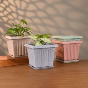 Planters Main Img 6